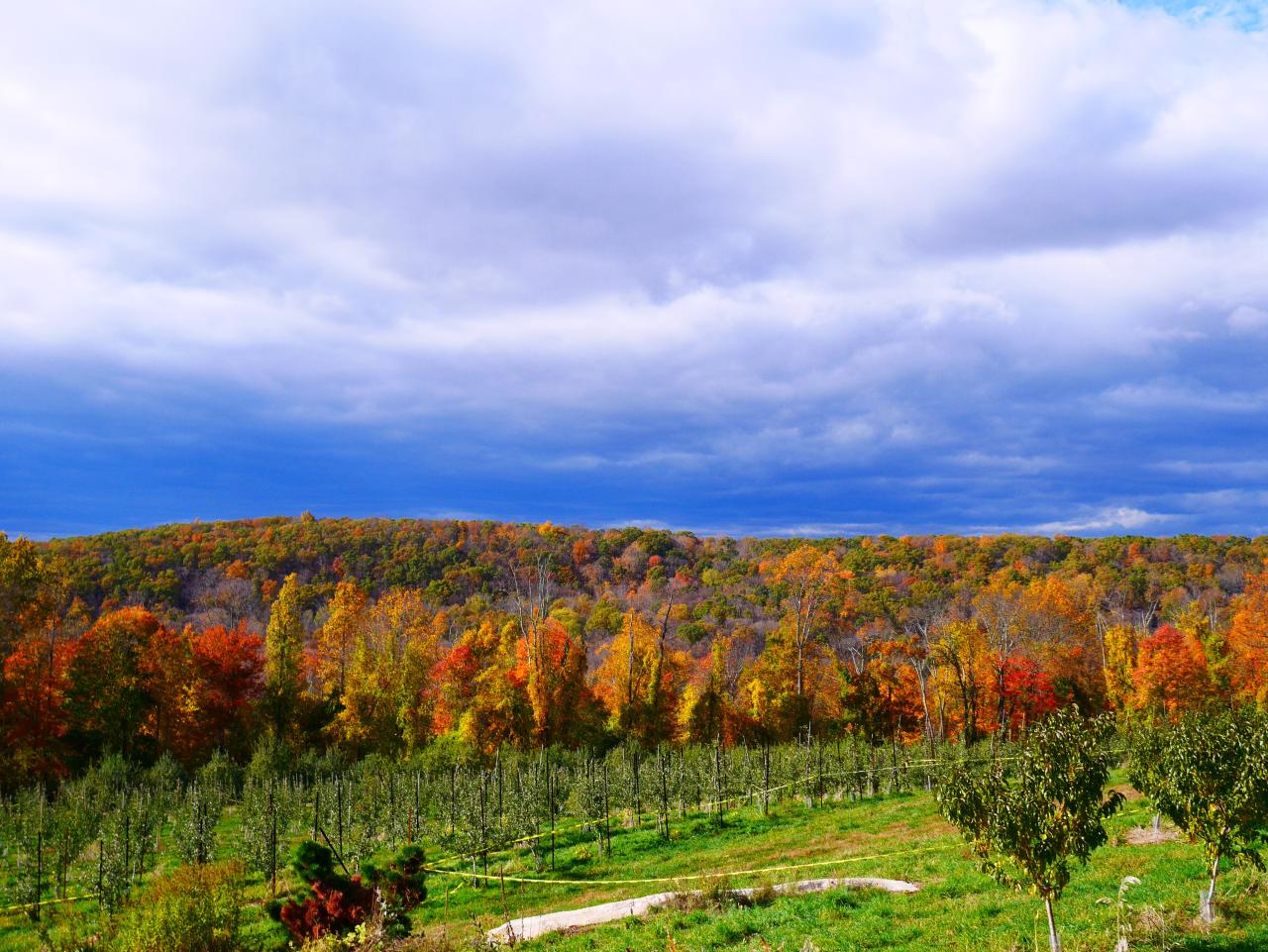 Harvest Moon Orchard: A Stunning Fall Family Getaway