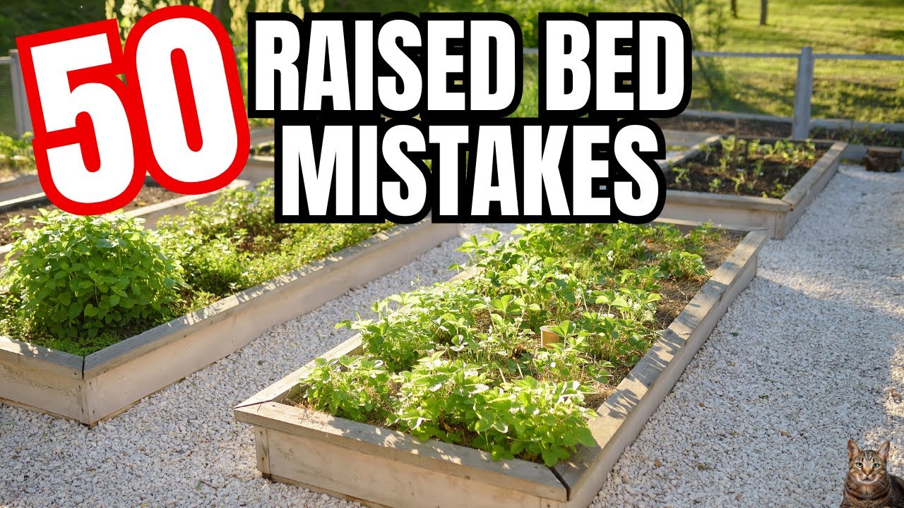 The Risks of Growing the Wrong Plants in Raised Beds